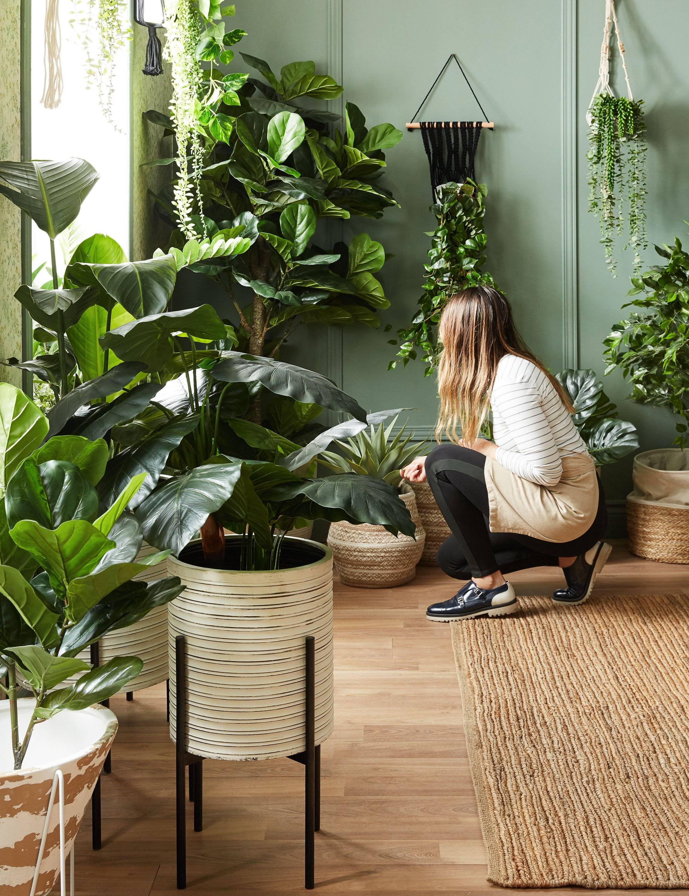 Растения в интерьере квартиры: интересные идеи размещения