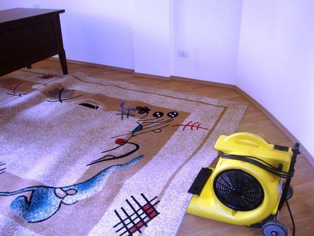 Как быстро высушить ковер на полу — пылесос и другие методы
