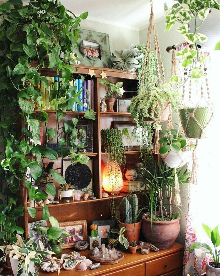 Как создать мини-сад в квартире — идеи и советы