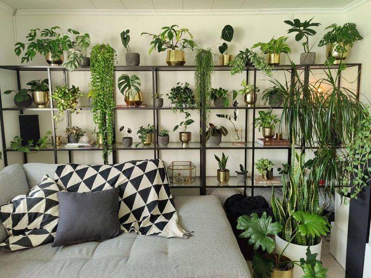 20 оригинальных идей, как украсить дом с помощью комнатных растений