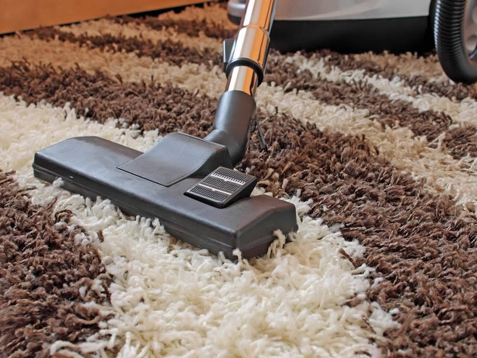 Чем и как почистить ковролин в домашних условиях прямо на полу: сухая, влажная и пенная чистка, народные средства