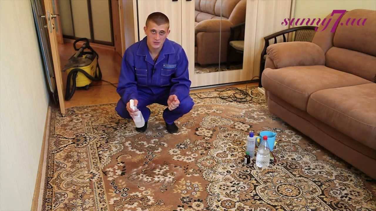 Как почистить ковры в домашних условиях