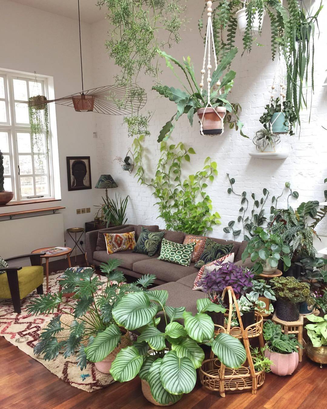 13 идей как обновить интерьер только с помощью растений - мебельный центр sbs