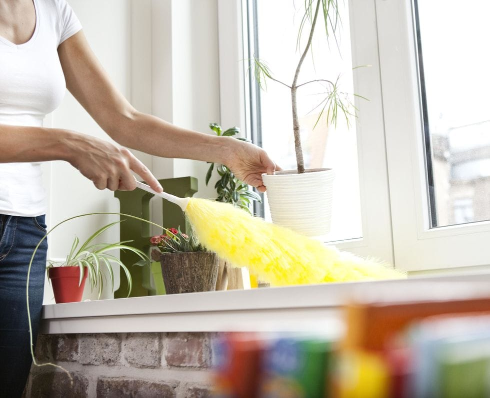 Как убрать пыль в квартире хотя бы ненадолго? есть много эффективных способов способов