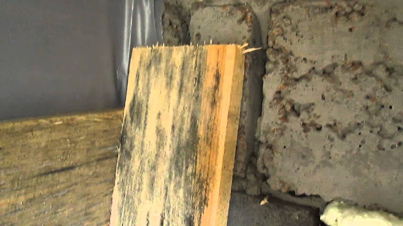 Чем обработать грибок под полом и в подполье деревянного дома