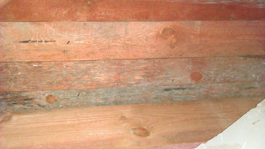 Чем обработать древесину от плесени и грибка — в подвале деревянного дома